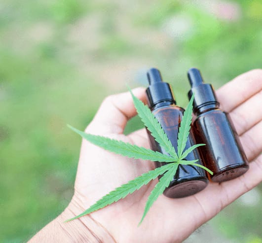 Cannabis Sklep Konopny Z Produktami Cbd 2
