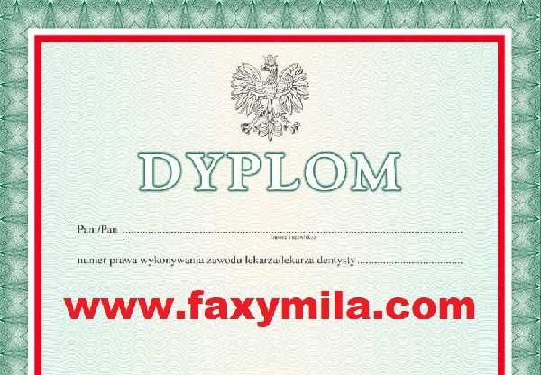 Oferujemy Dyplomy Uniwersytetów, świadectwa Z Wpisem