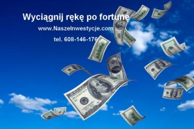 Zadłużona Spółka/jdg? Antywindykacja!