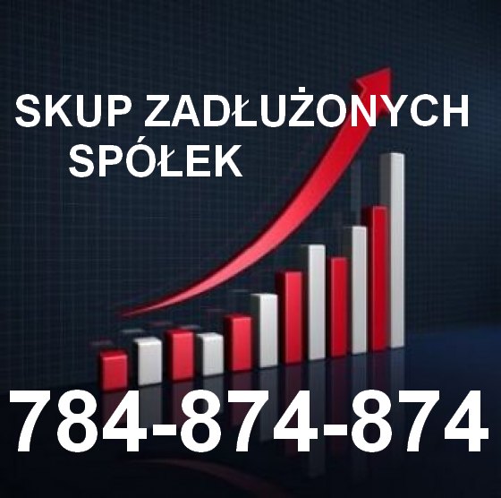 Spolki.biz - Pomoc Dla Spółek - 784-874-874