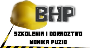 Przeglądy Kominiarskie Bytom