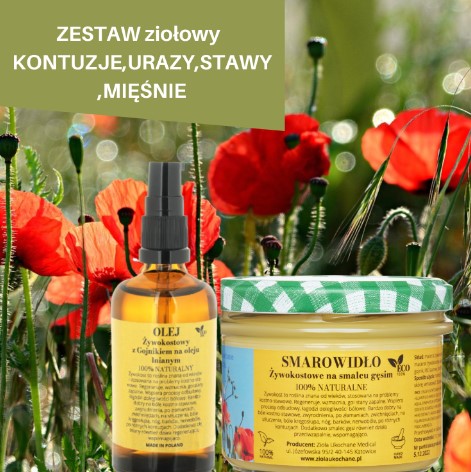 Maceraty Ziołowe Na Olejku