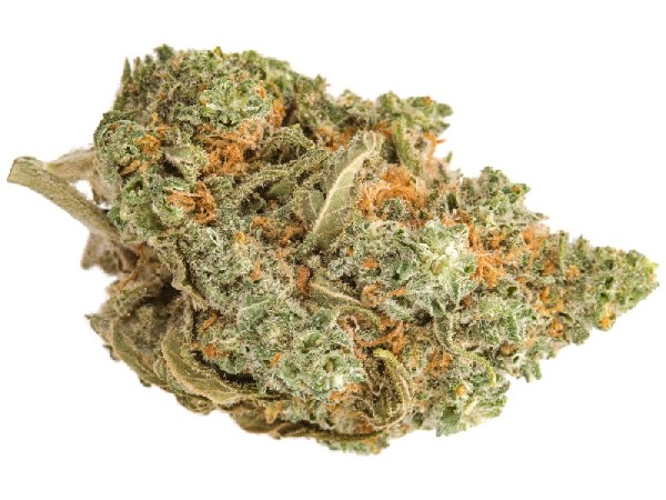 Sklep Z Thc I Nie Tylko Protonchem.com