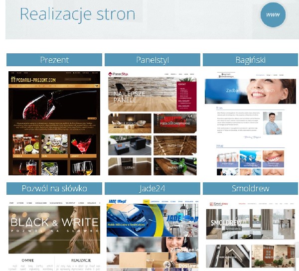 Tworzenie Stron I Sklepów Internetowych Białystok - Agencja Interaktywna Wiwi.pl 3