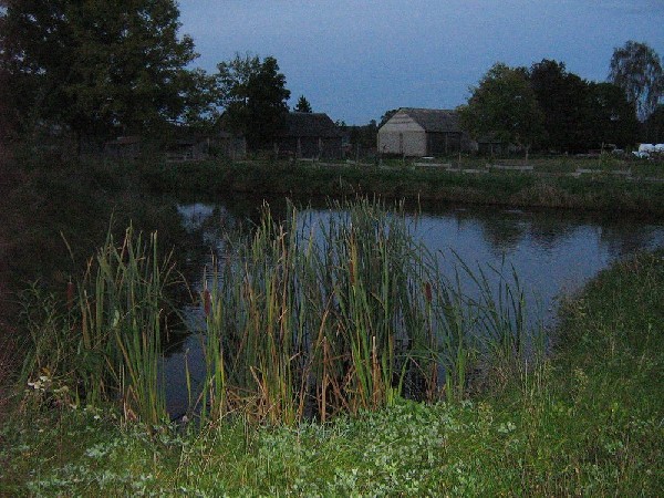 Sprzedam Posiadłość  Na Podlasiu. 4